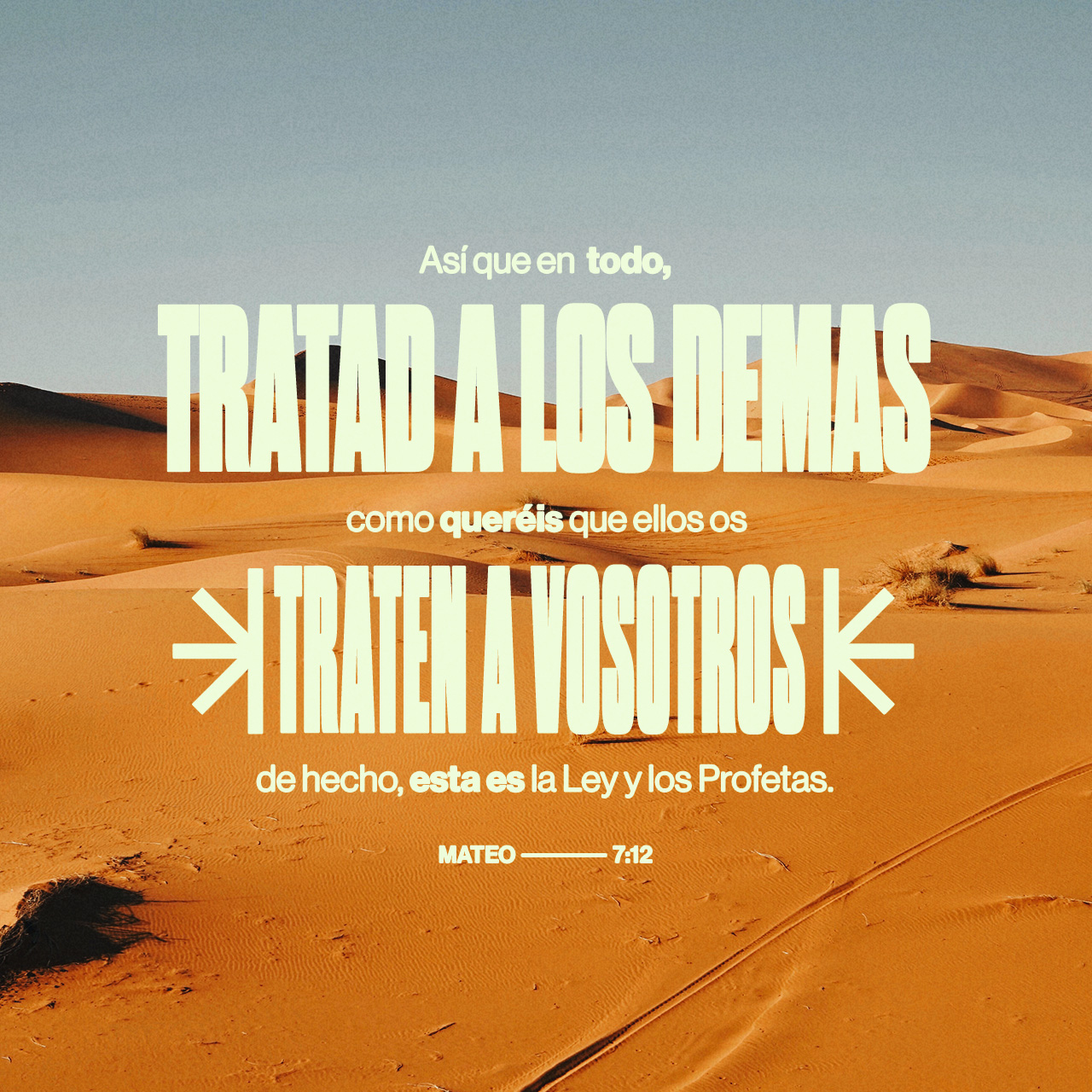 04 de febrero - Plaza