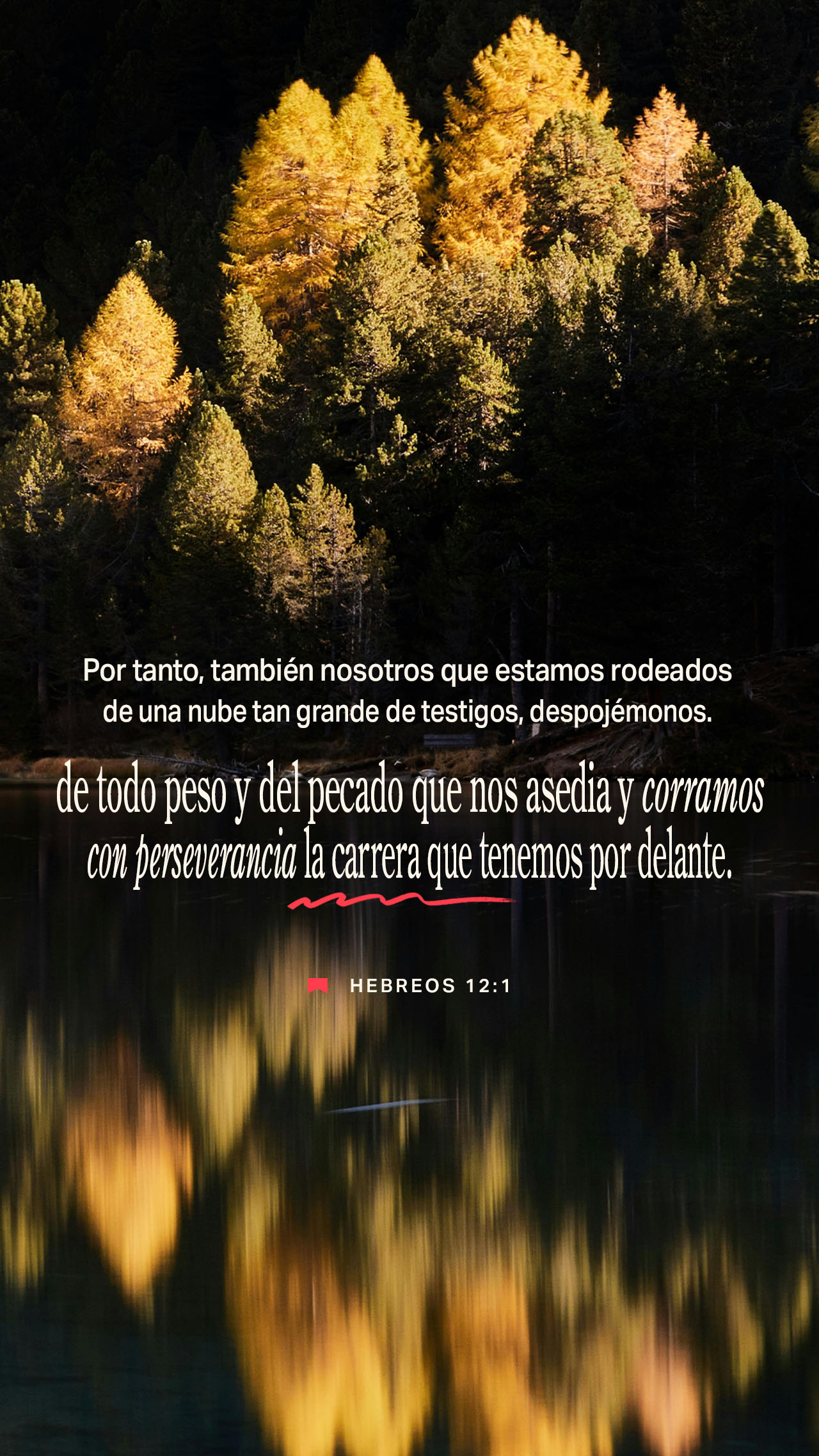 06 de febrero - Vertical