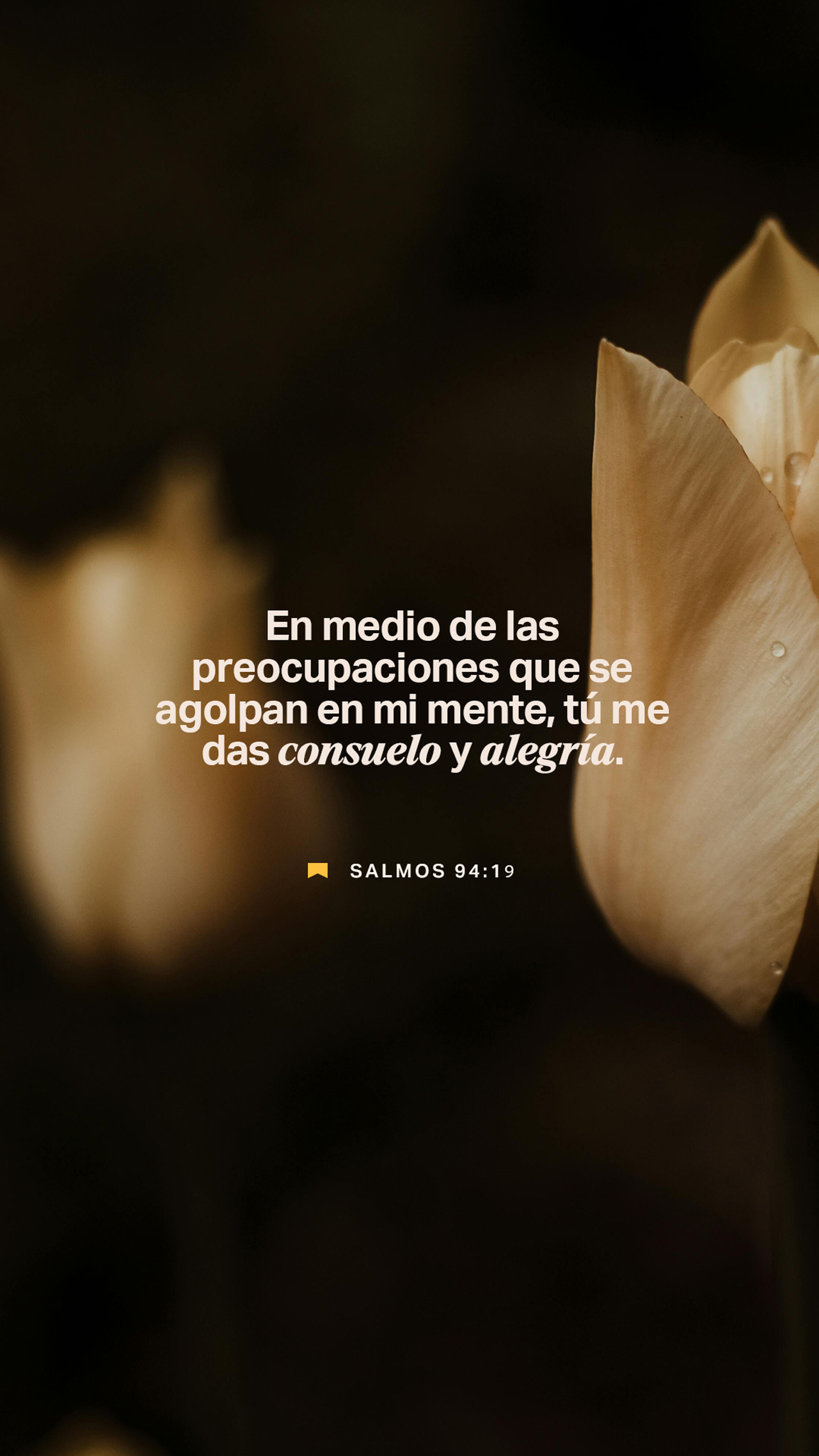 09 de febrero - Vertical