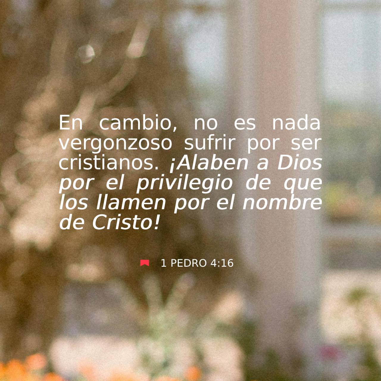 13 de febrero - Plaza