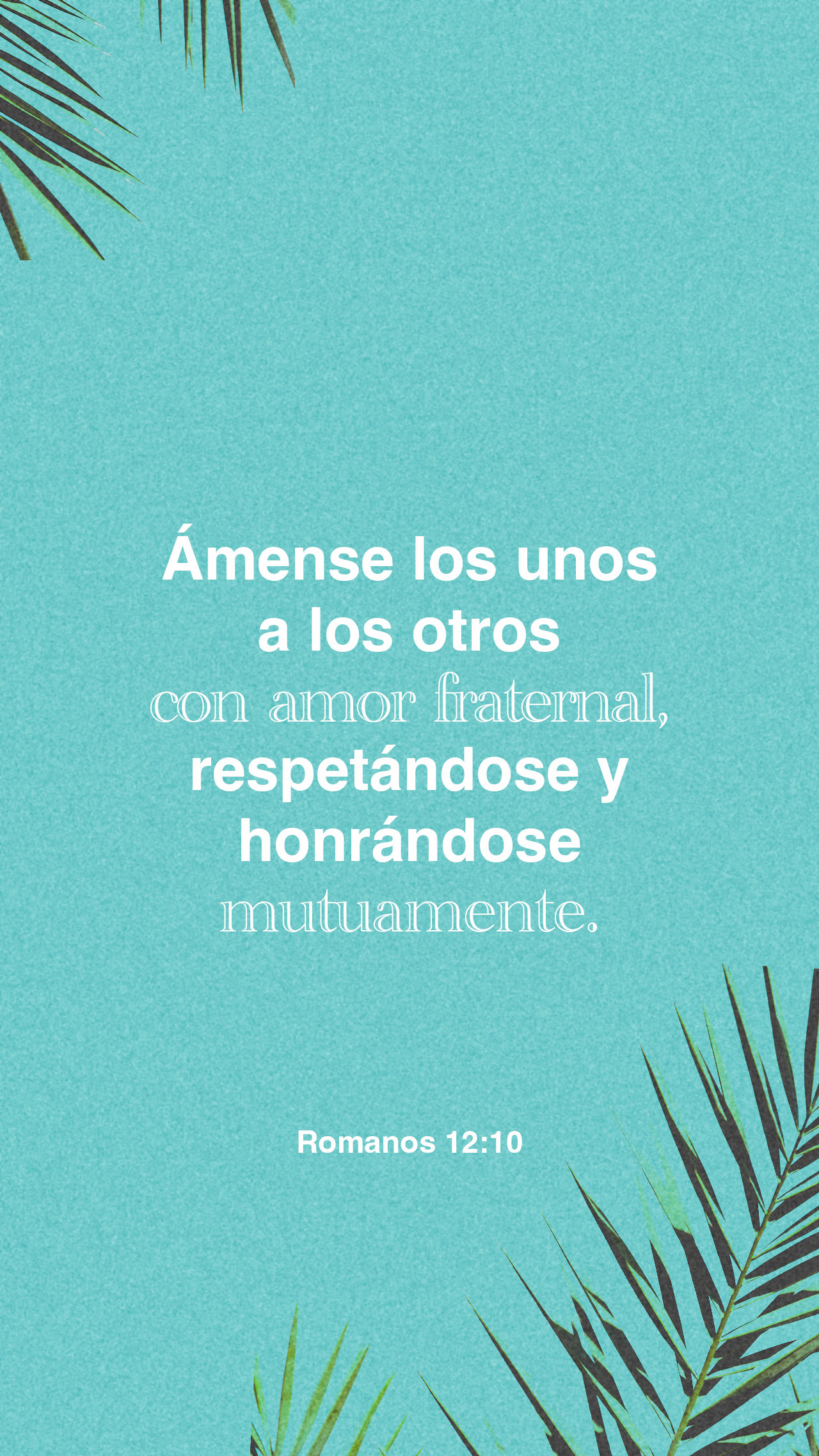 14 de febrero - Vertical