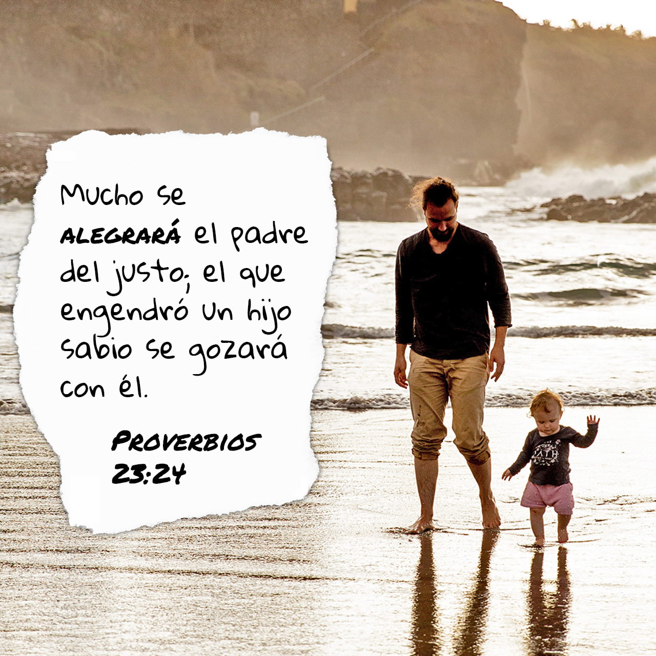 15 de febrero - Plaza