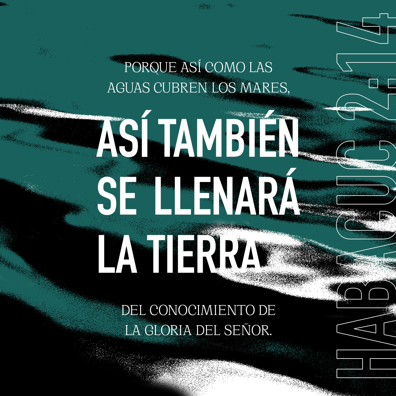 17 de febrero - Plaza