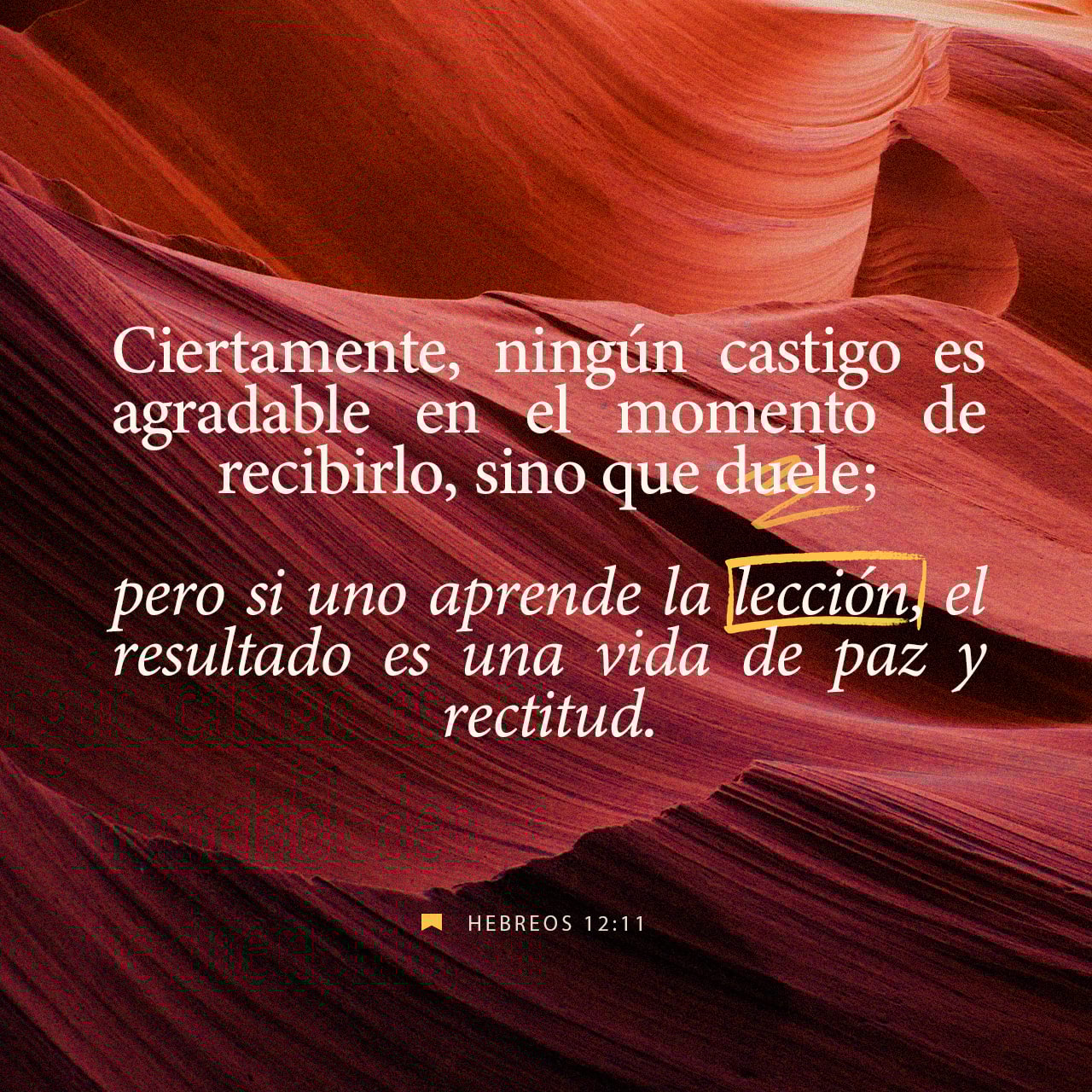 19 de febrero - Plaza