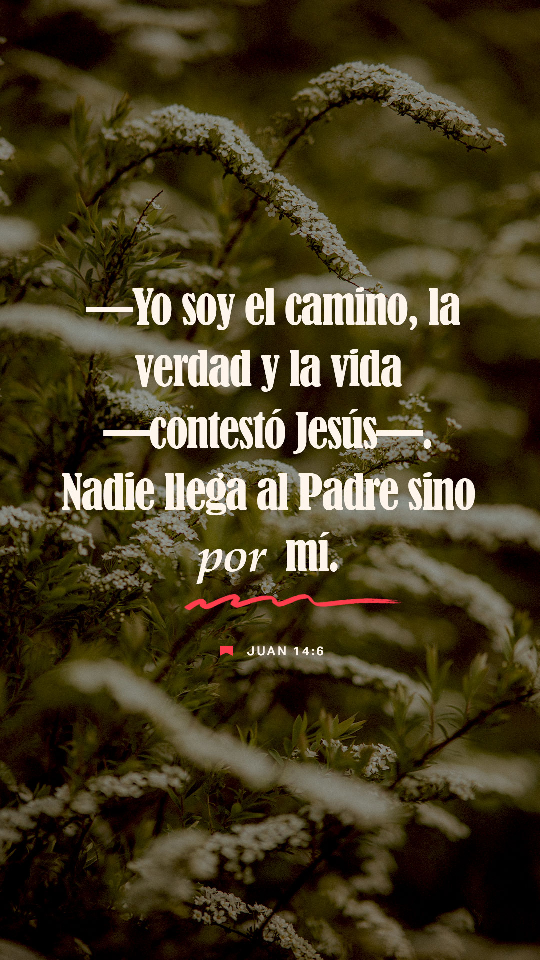 21 de febrero - Vertical