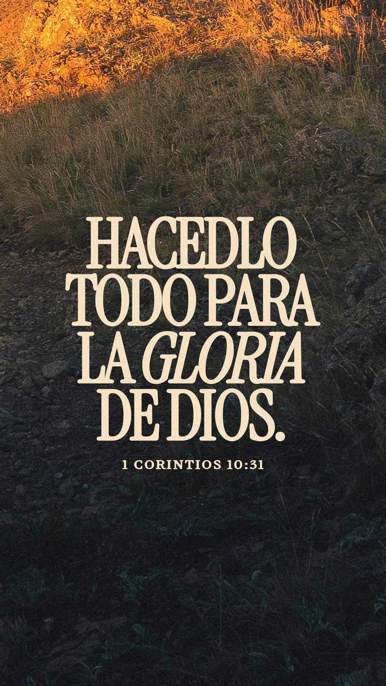 07 de enero - Vertical