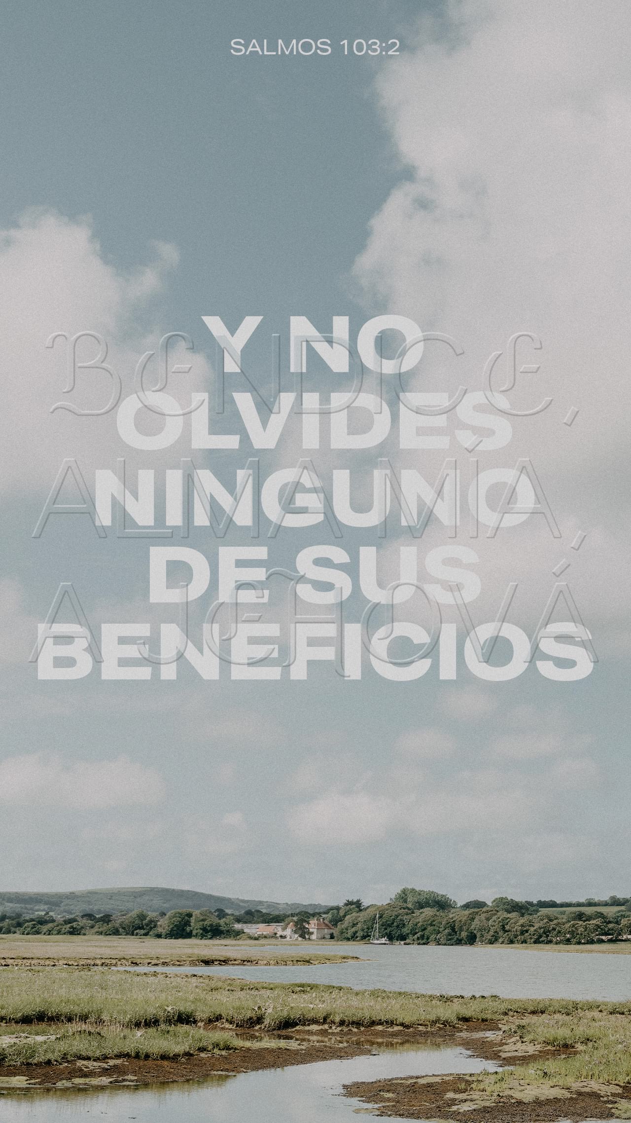 10 de enero - Vertical