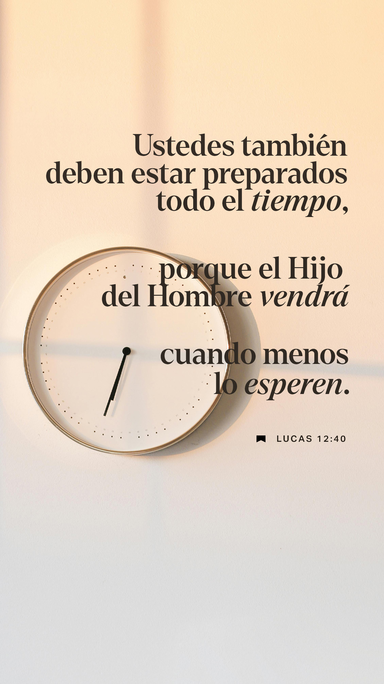 13 de enero - Vertical