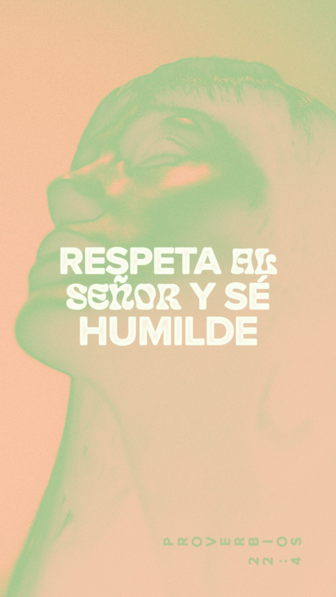 14 de enero - Vertical