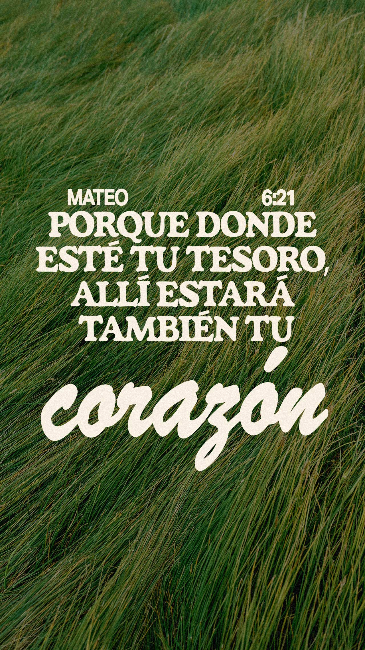 15 de enero - Vertical