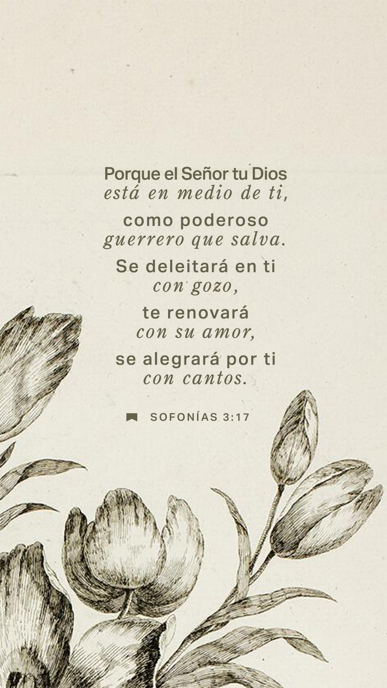 16 de enero - Vertical