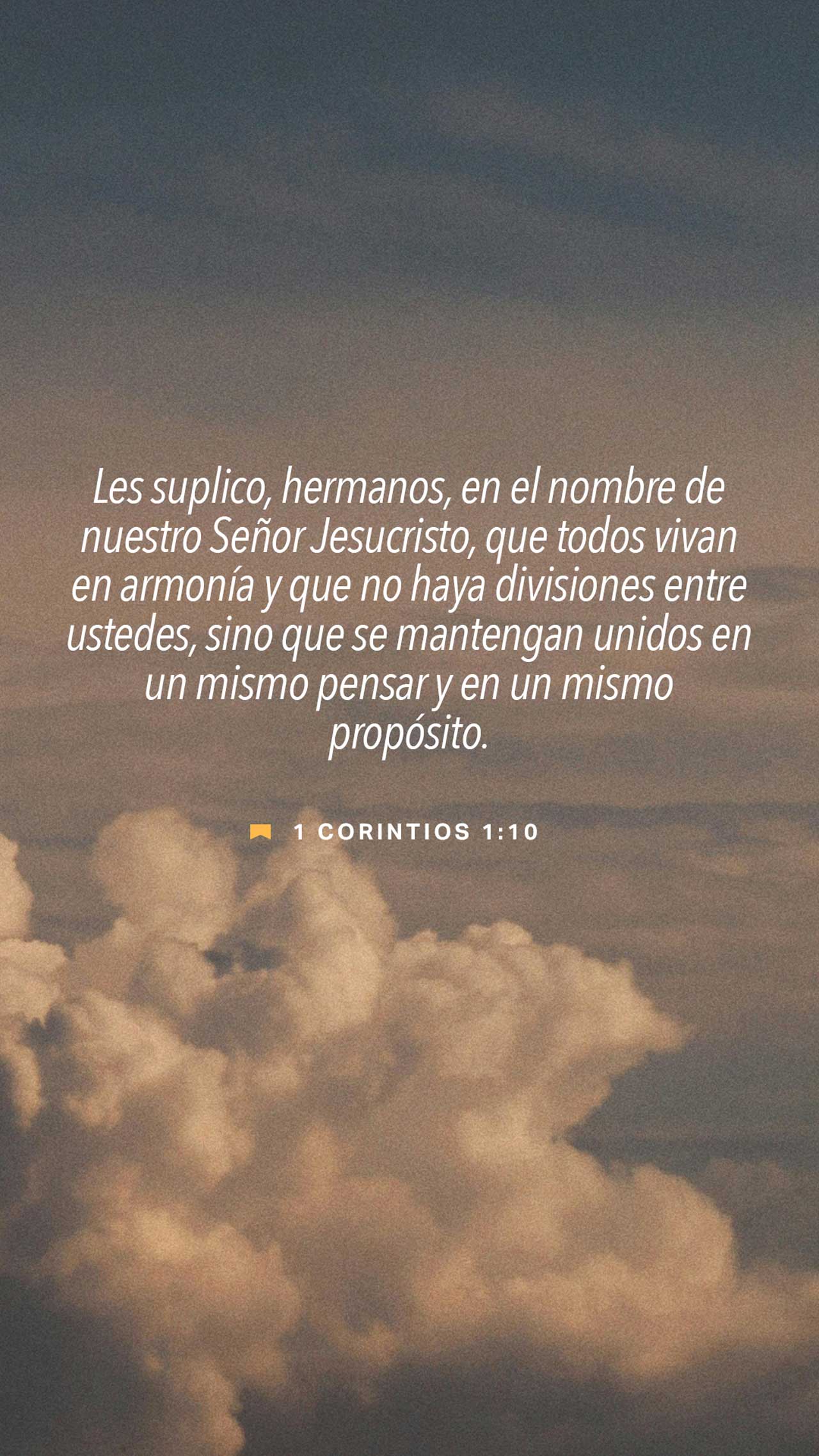 18 de enero - Vertical