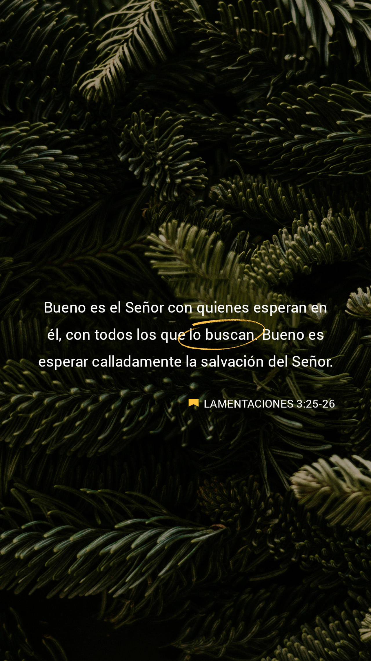 24 de enero - Vertical