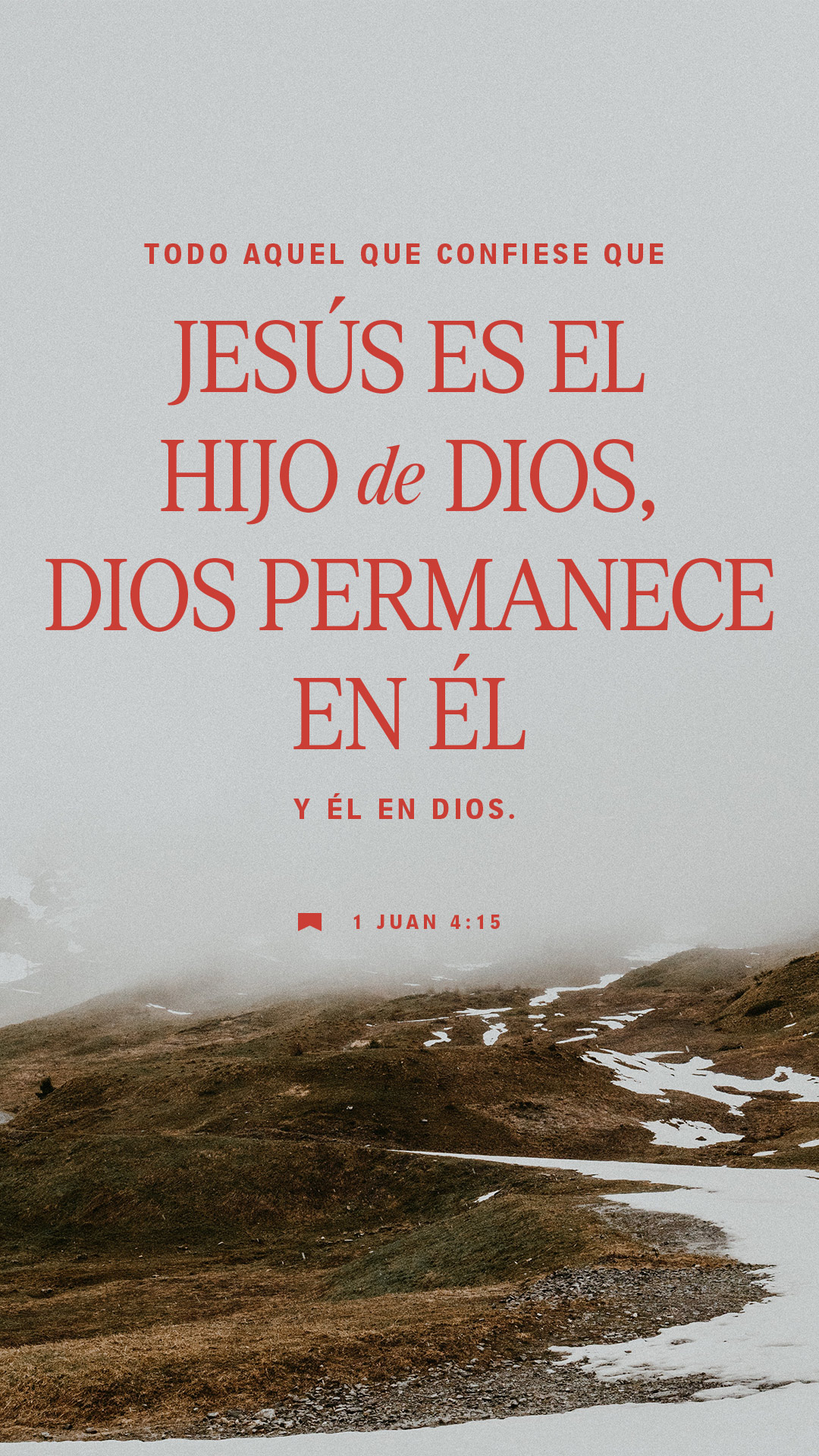 25 de enero - Vertical