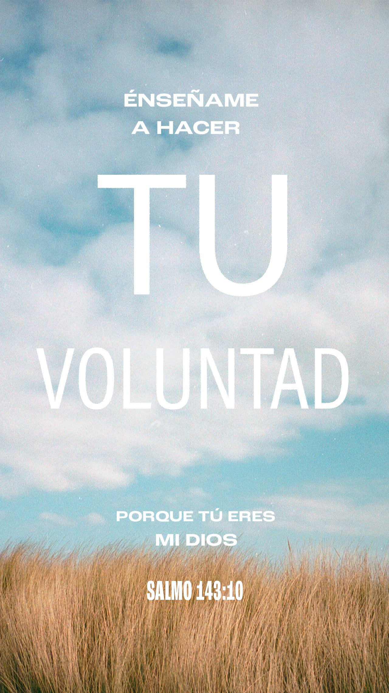 27 de enero - Vertical