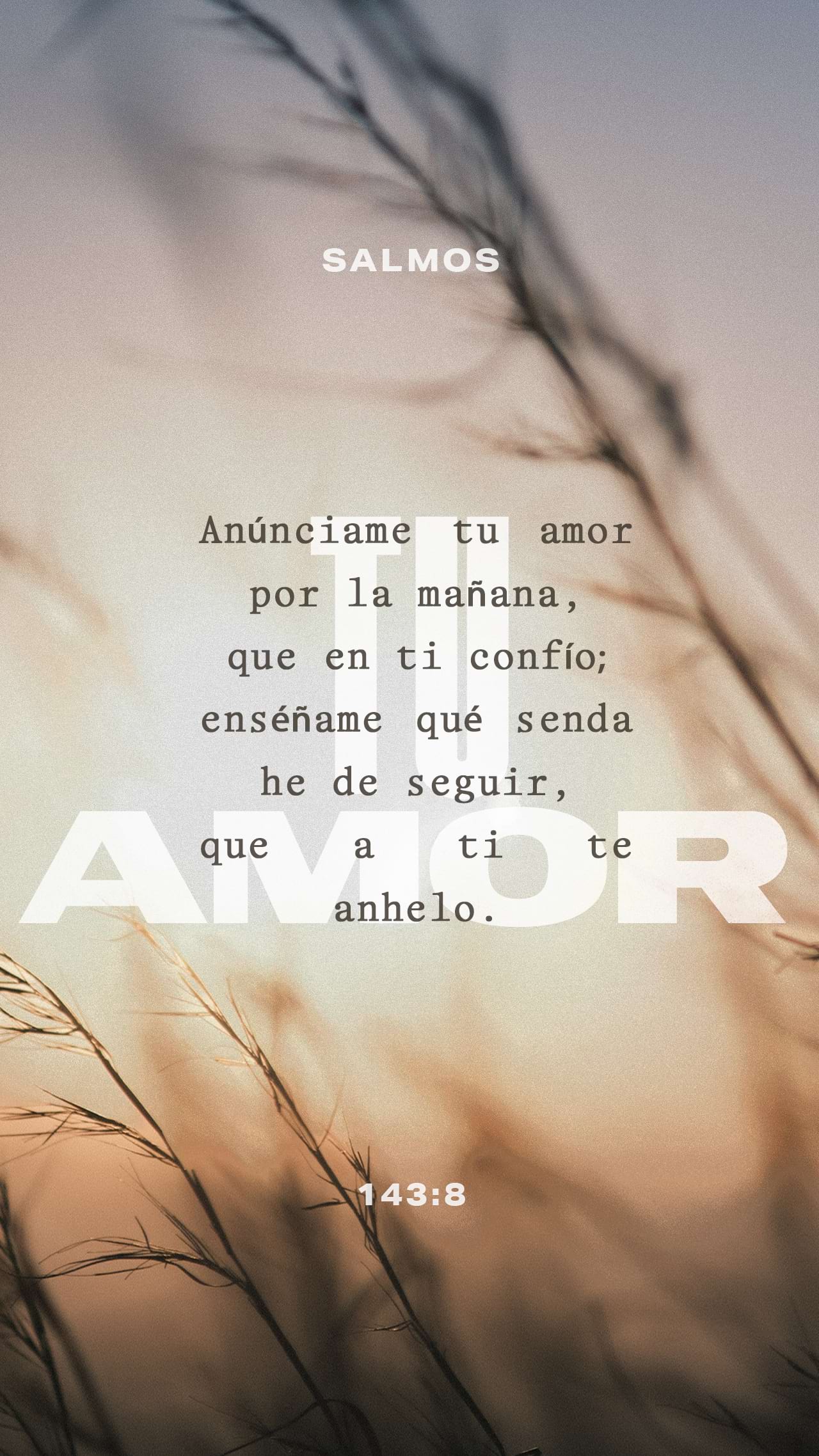 04 de marzo - Vertical