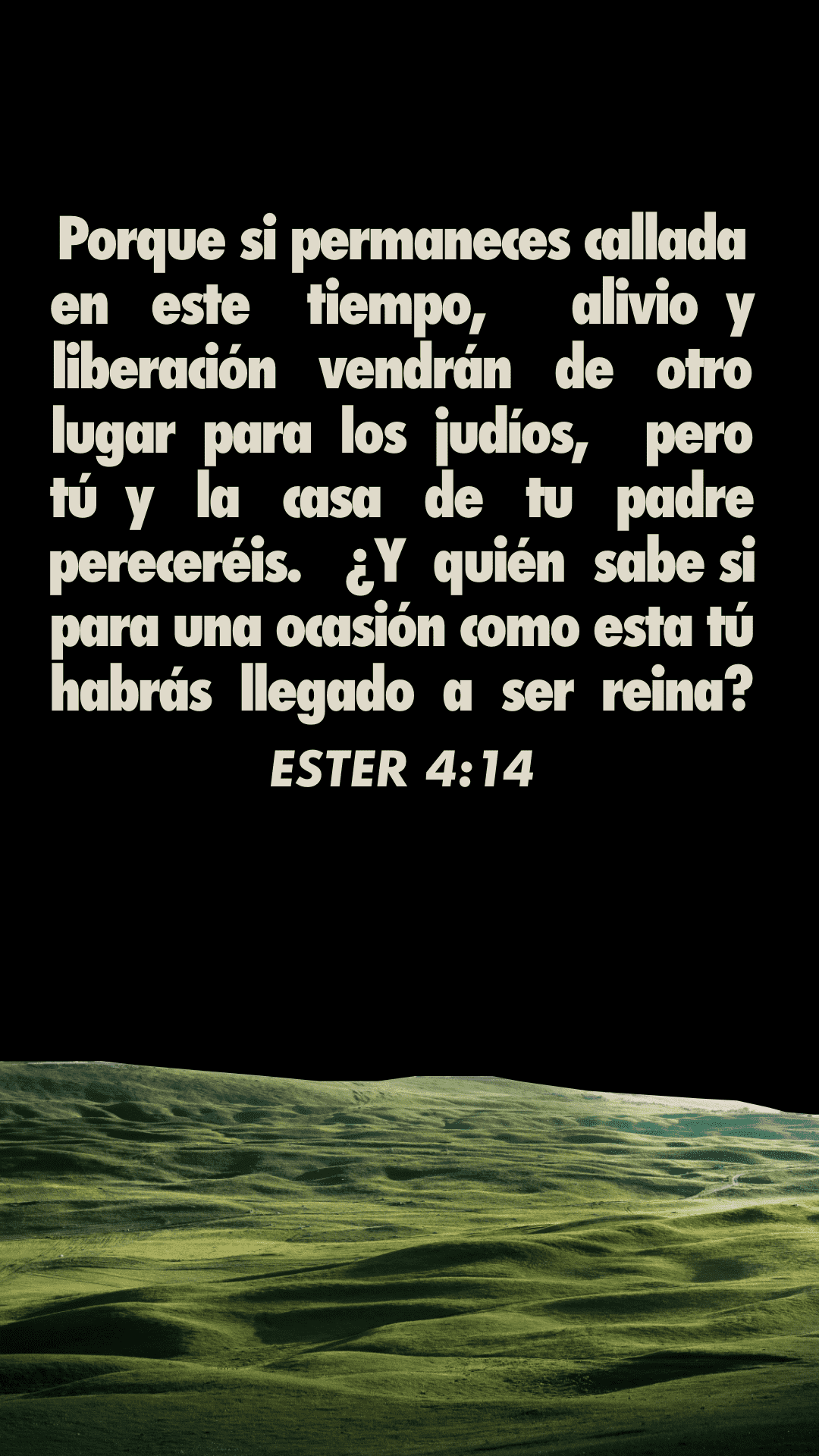 14 de marzo - Vertical