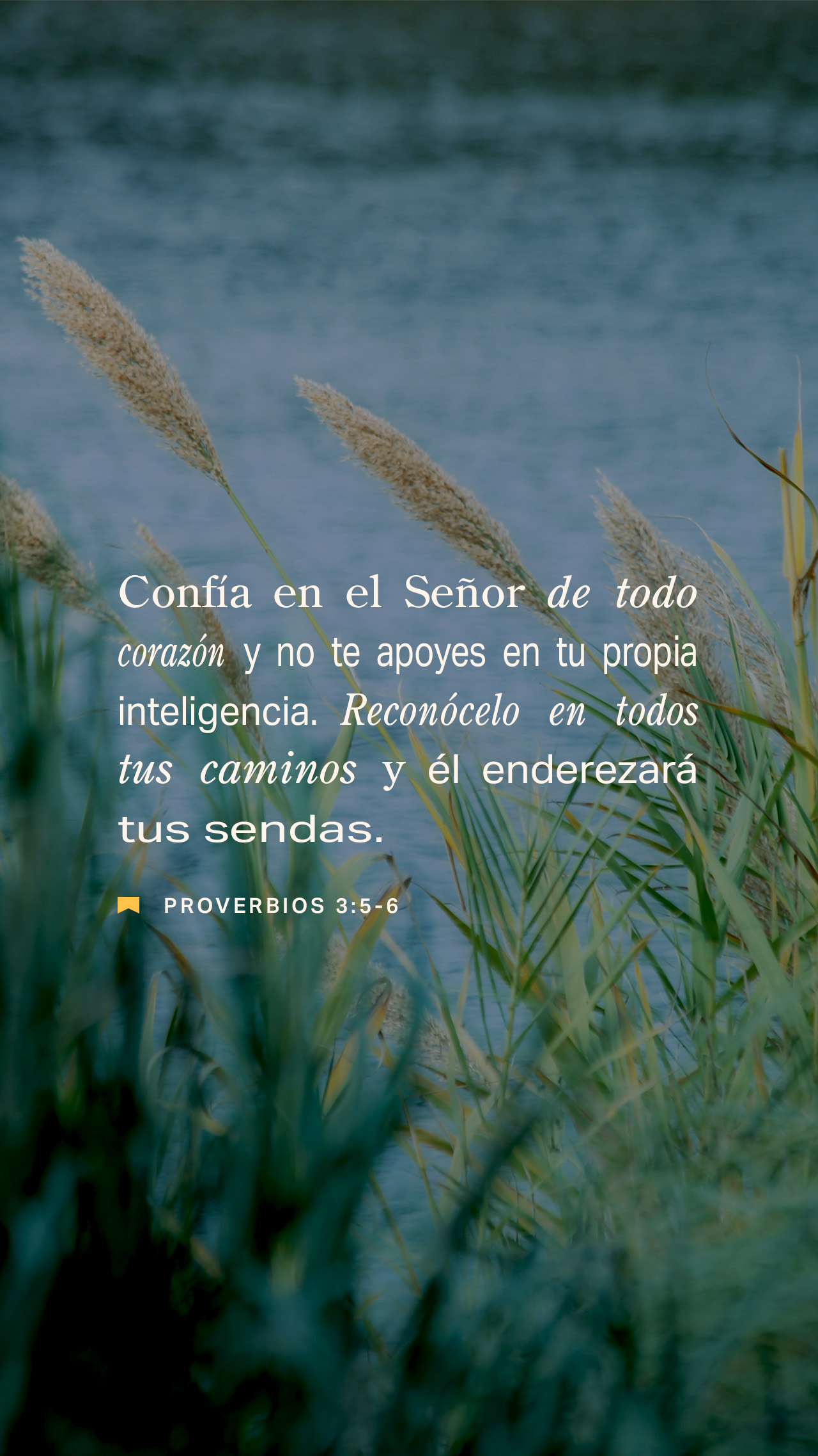 17 de marzo - Vertical