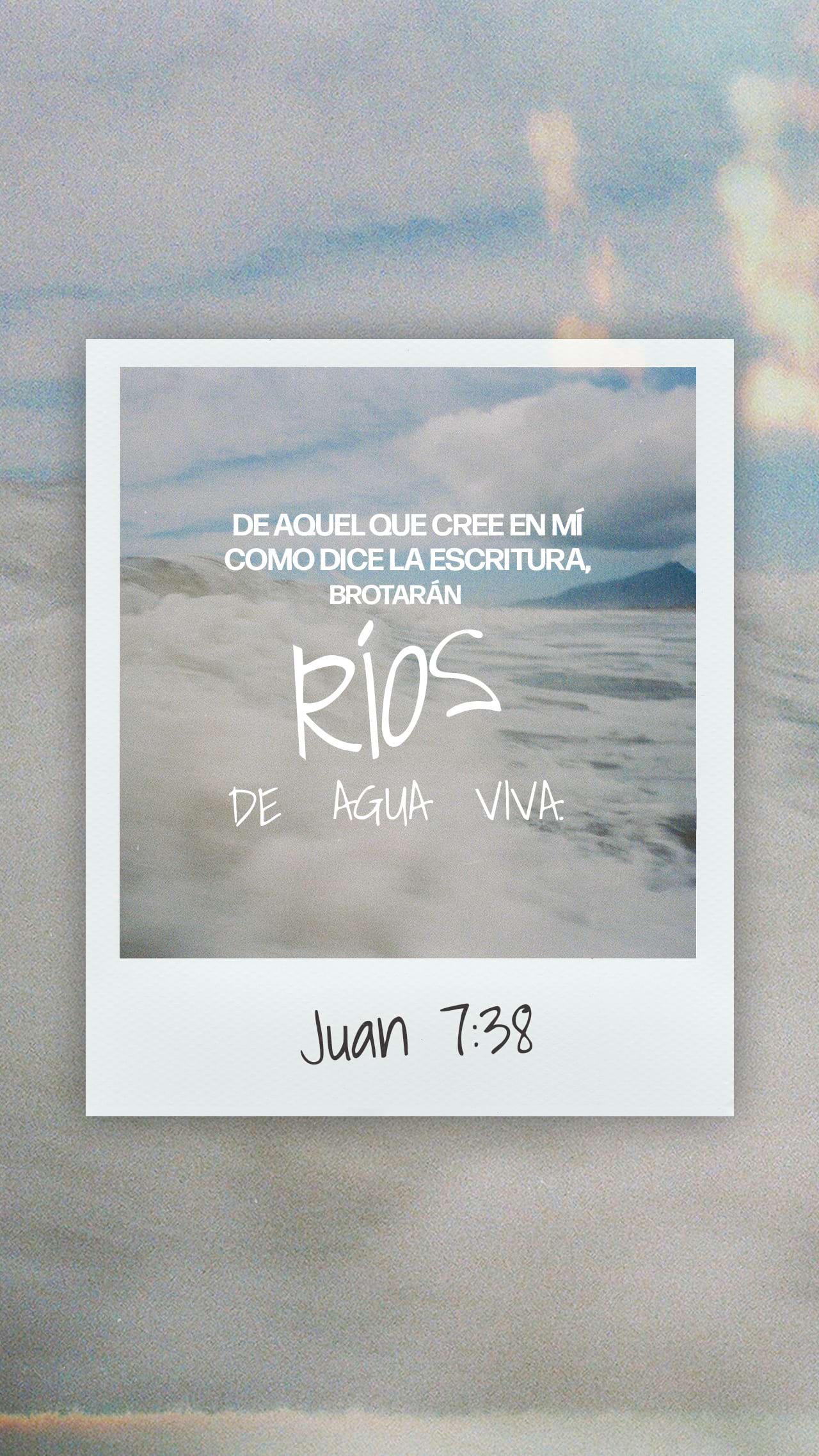 25 de marzo - Vertical