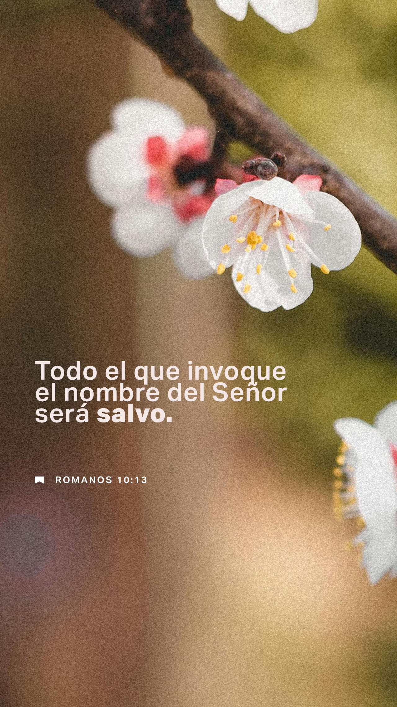 07 de mayo - Vertical