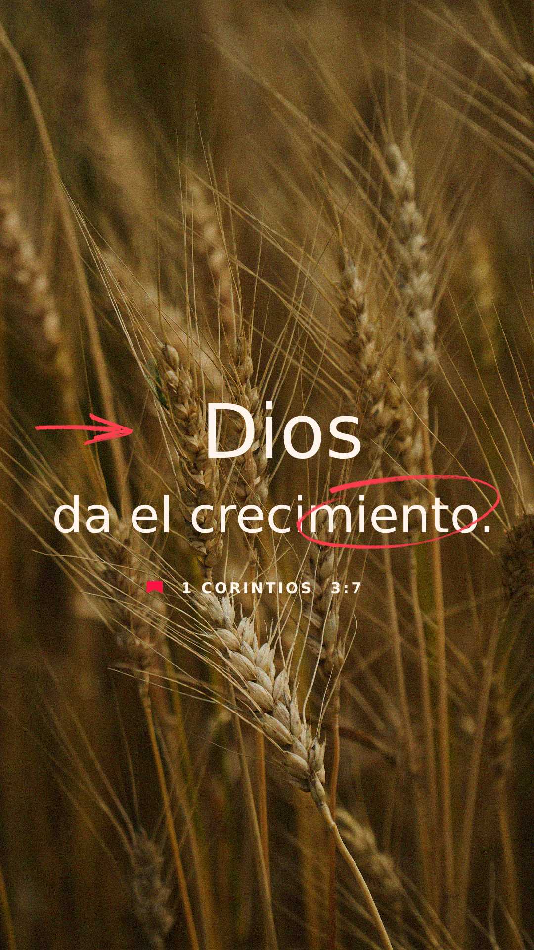 08 de mayo - Vertical