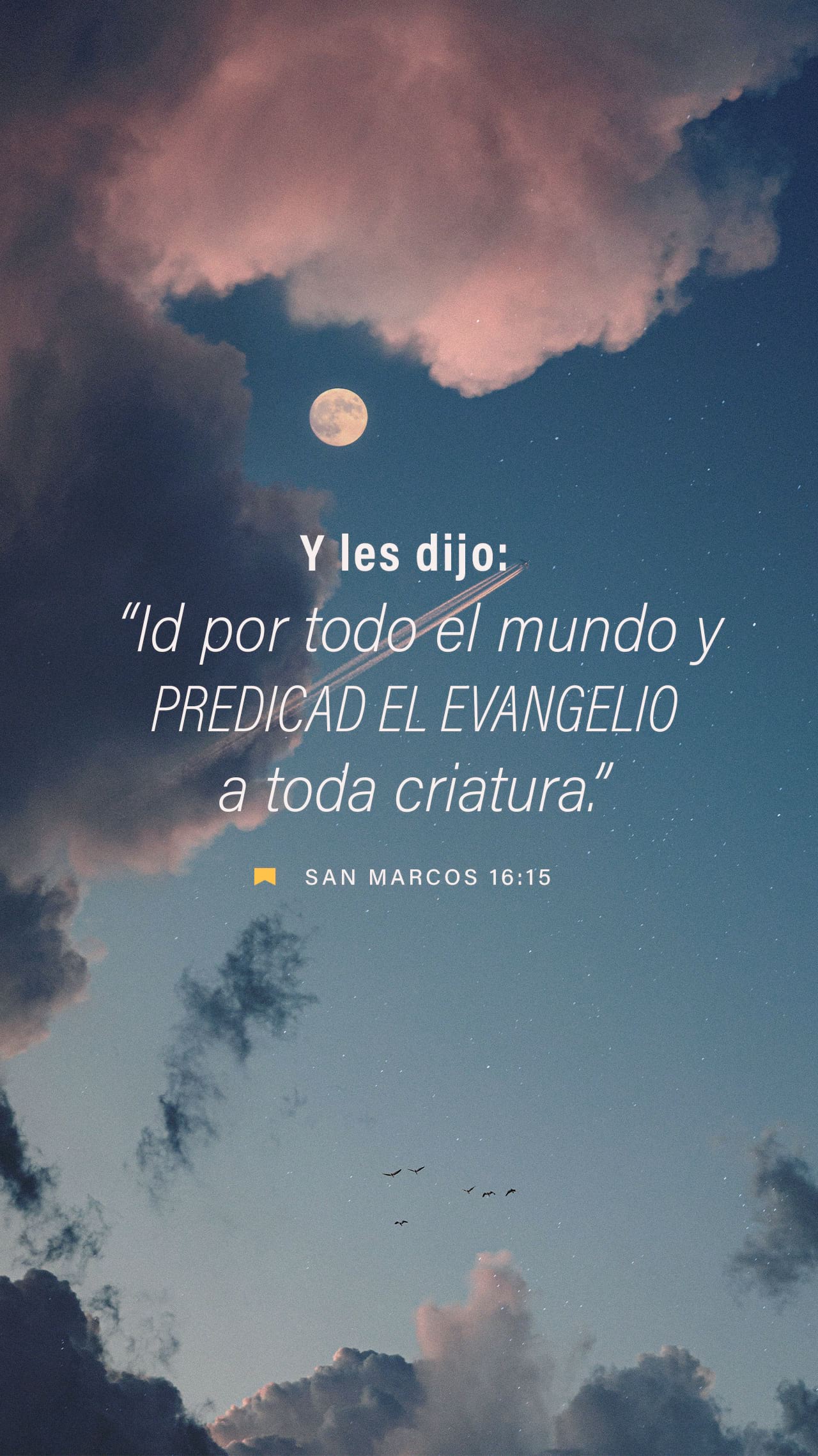 11 de mayo - Vertical