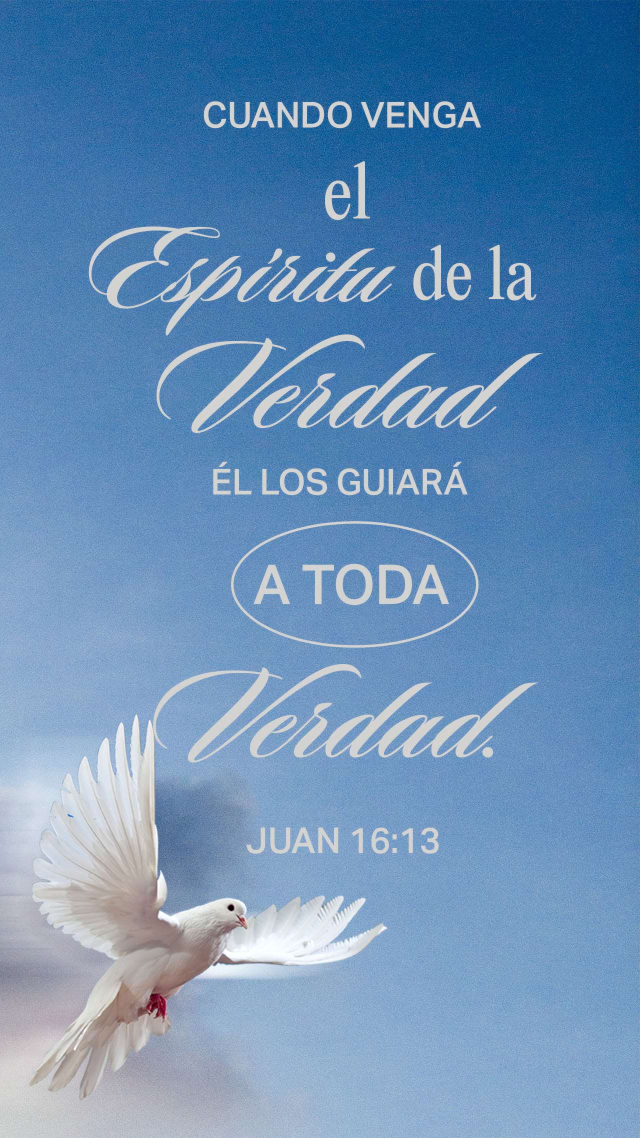 17 de mayo - Vertical