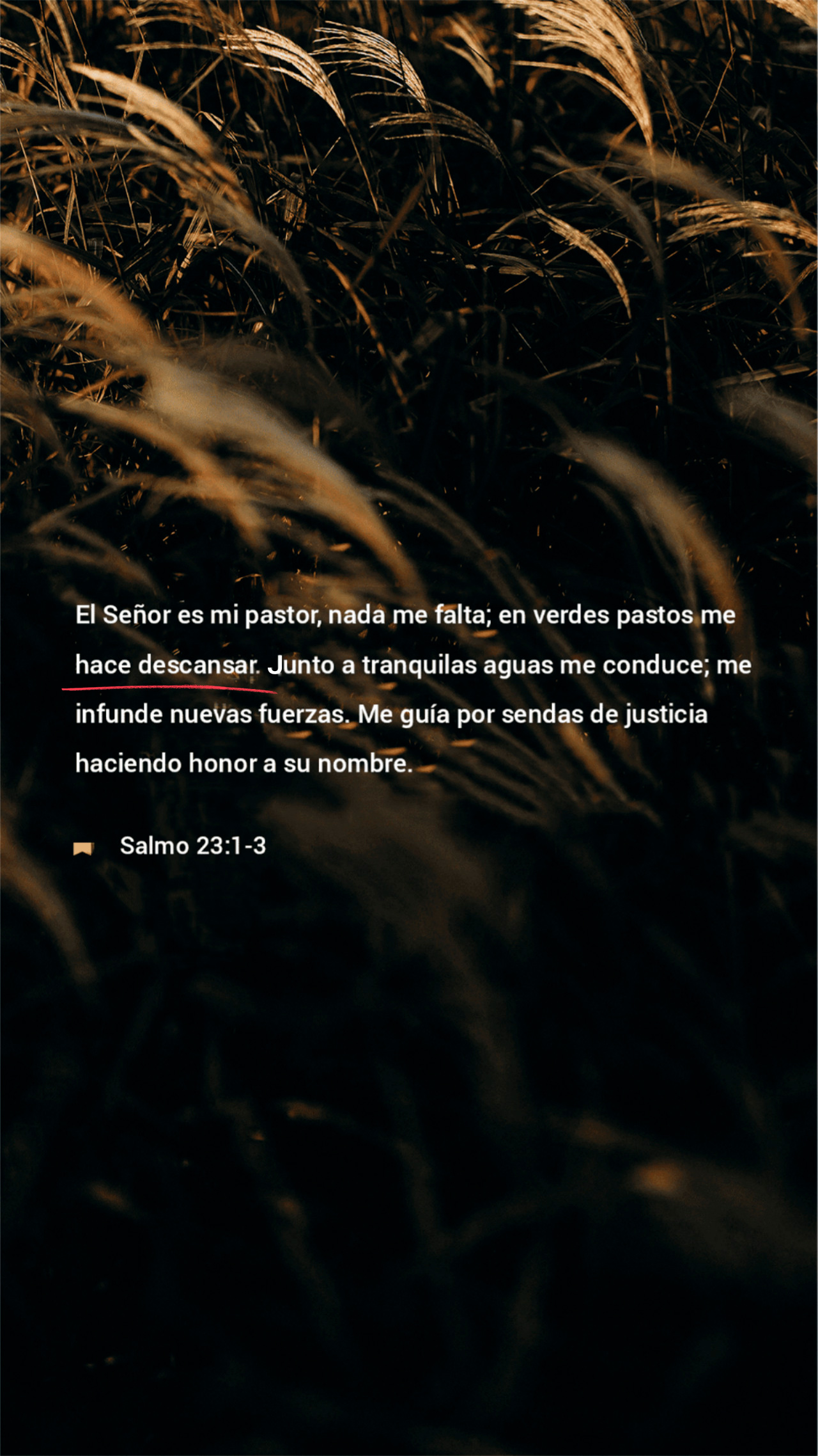 25 de mayo - Vertical
