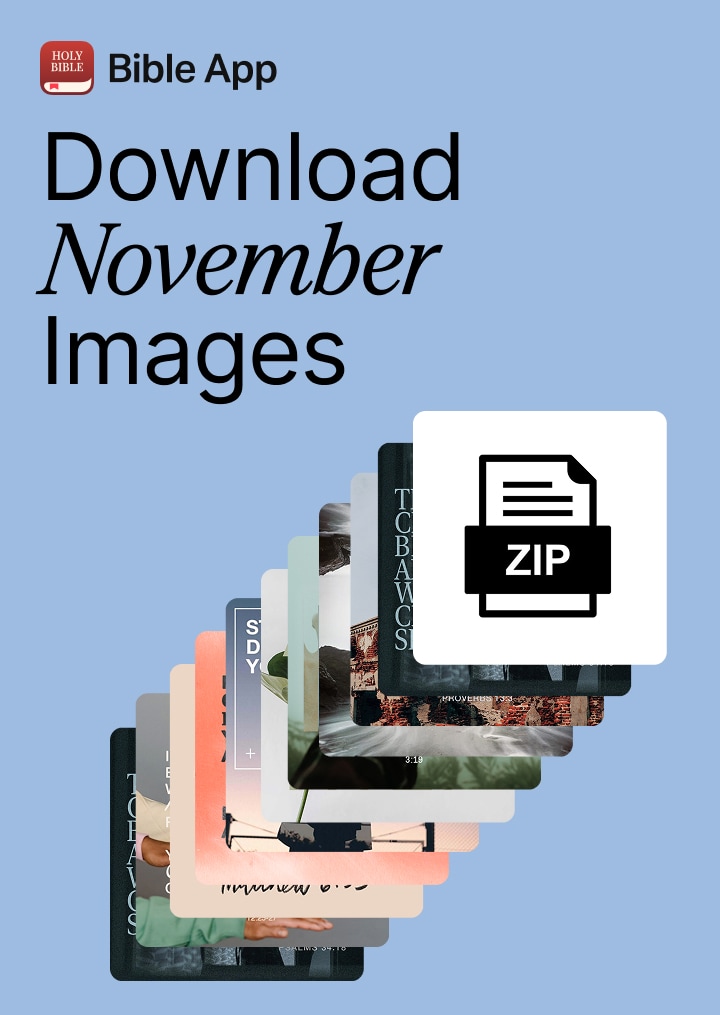All November Images
